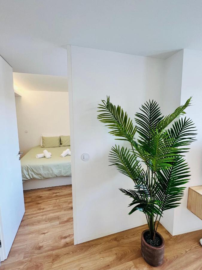 Loft Center Viana *